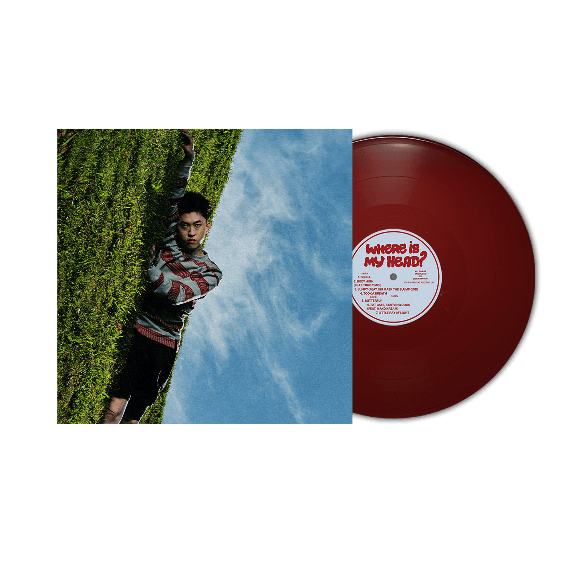 WHERE IS MY HEAD? 12" 2LP Vinyl - Opaque Maroon